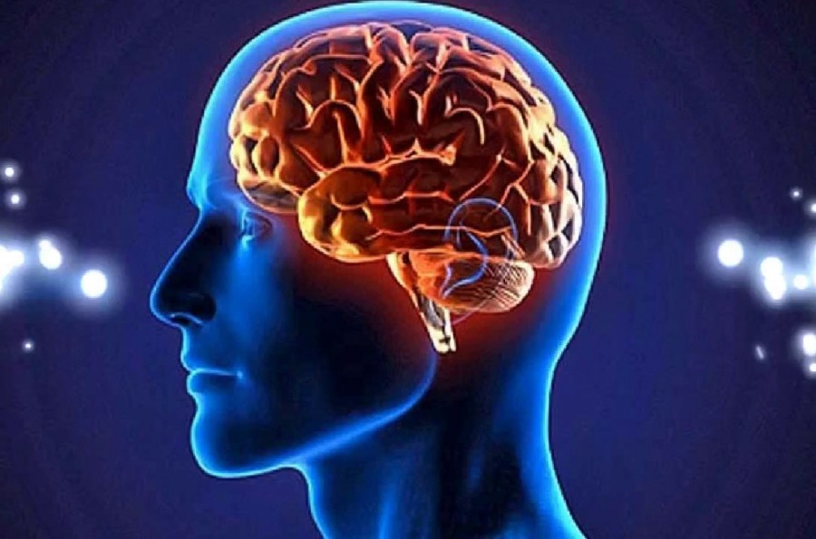 Deterioro Cognitivo
