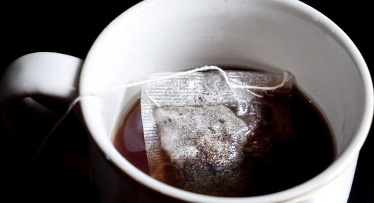El consumo de té y sus efectos en la salud cardiovascular: la importancia de la temperatura